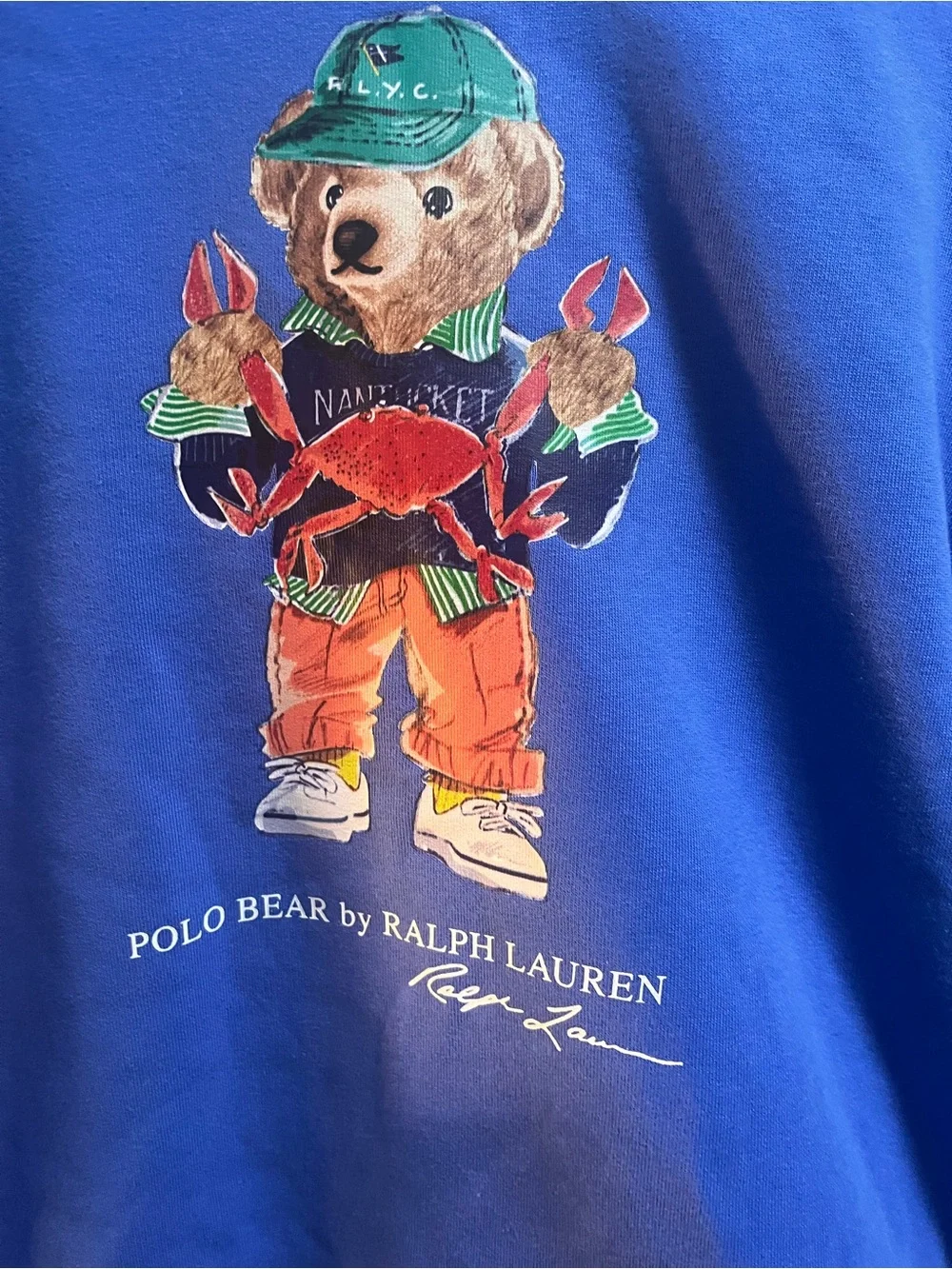 Ralph Lauren Blue Kids Polo Bear Hoodie